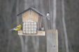 Enlarge photo 26