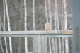 Enlarge photo 27