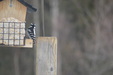 Enlarge photo 33