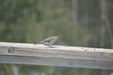 Enlarge photo 35