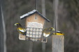 Enlarge photo 23