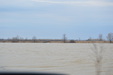 River Floods 2017