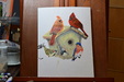 Studio Paintings