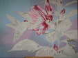 Enlarge photo 43