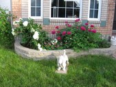 Enlarge photo 8