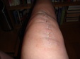 Enlarge photo 46