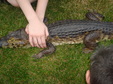 Enlarge photo 25