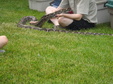 Enlarge photo 28