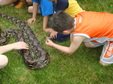 Enlarge photo 27