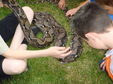 Enlarge photo 29