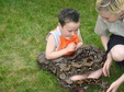 Enlarge photo 31