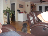 Enlarge photo 6