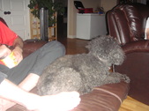 Enlarge photo 10