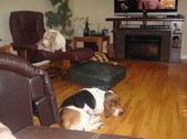 Enlarge photo 17