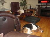 Enlarge photo 18