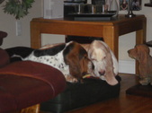 Enlarge photo 21