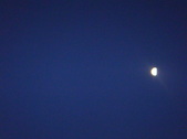Enlarge photo 85