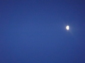 Enlarge photo 84