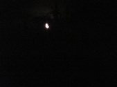 Enlarge photo 88
