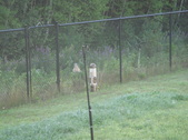 Enlarge photo 90