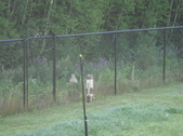 Enlarge photo 92
