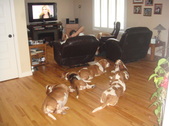 Enlarge photo 3