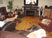 Summer 2011