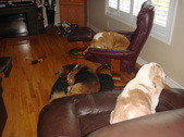 Enlarge photo 4