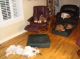 Enlarge photo 2