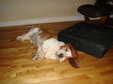 Enlarge photo 4