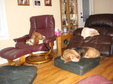 Enlarge photo 6