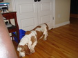 Enlarge photo 12