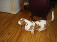 Enlarge photo 16