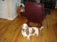 Enlarge photo 18