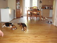 Enlarge photo 21