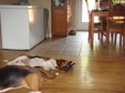 Enlarge photo 24