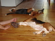 Enlarge photo 26