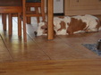 Enlarge photo 27