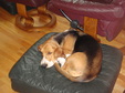 Enlarge photo 28