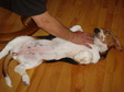 Enlarge photo 29