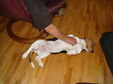 Enlarge photo 30