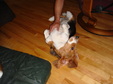 Enlarge photo 31