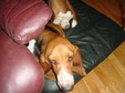 Enlarge photo 32