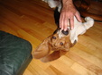 Enlarge photo 34