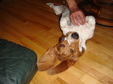 Enlarge photo 35