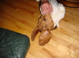 Enlarge photo 36