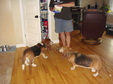 Enlarge photo 44