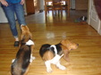 Enlarge photo 53