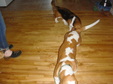 Enlarge photo 56