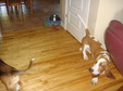Enlarge photo 58